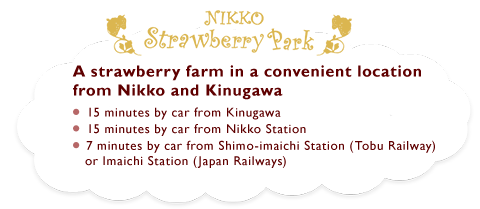 A strawberry farm in a convenient location from Nikko and Kinug